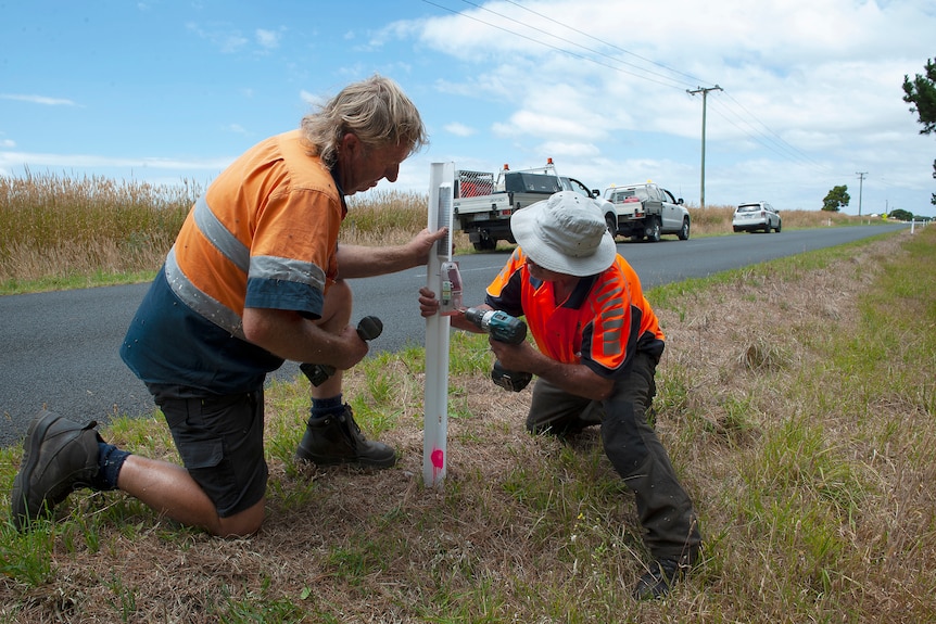 Tasmanian Devil road warning sensor