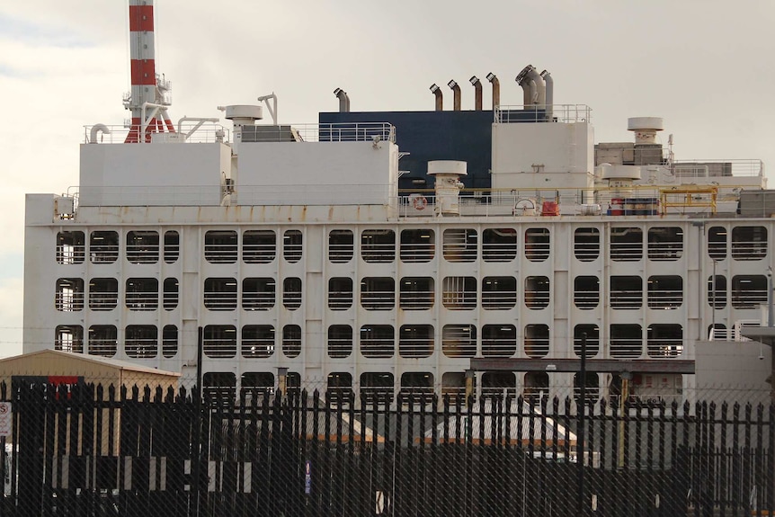 Le navire d'exportation en direct Al Kuwait a accosté à Fremantle pendant la journée avec des grues portuaires derrière lui.