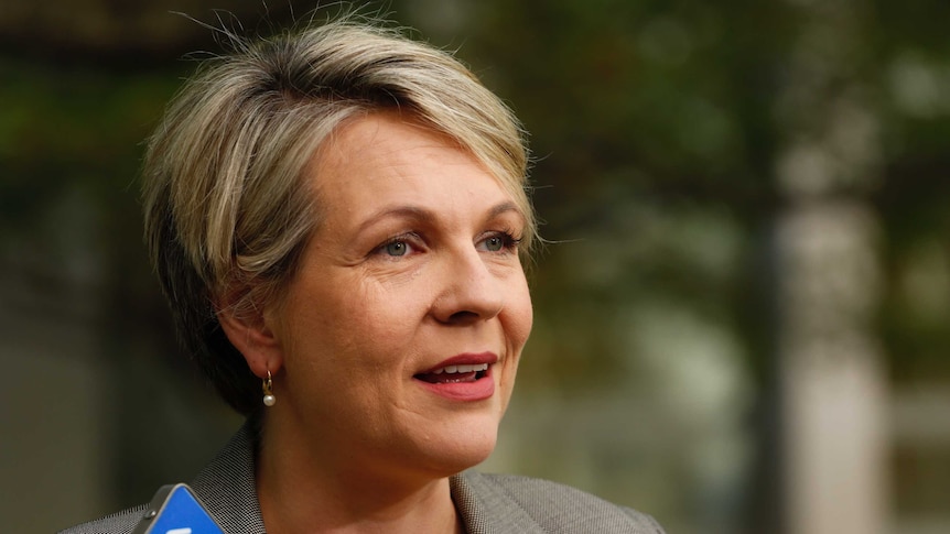 Tanya Plibersek addresses the media