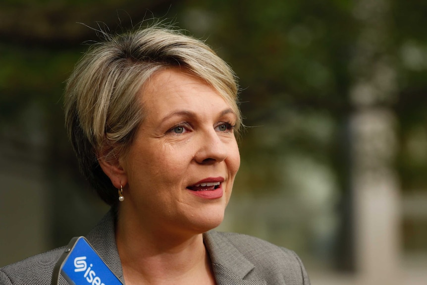 Tanya Plibersek addresses the media