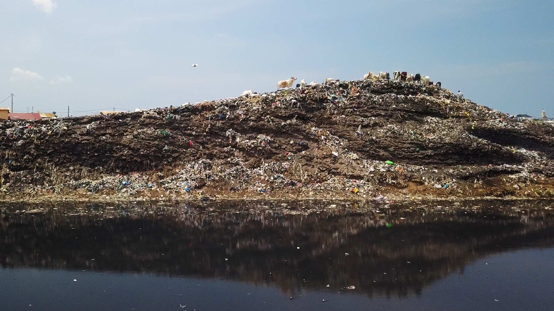 a16ab7ad95568b596519b2ad4cd70cf7?impolic