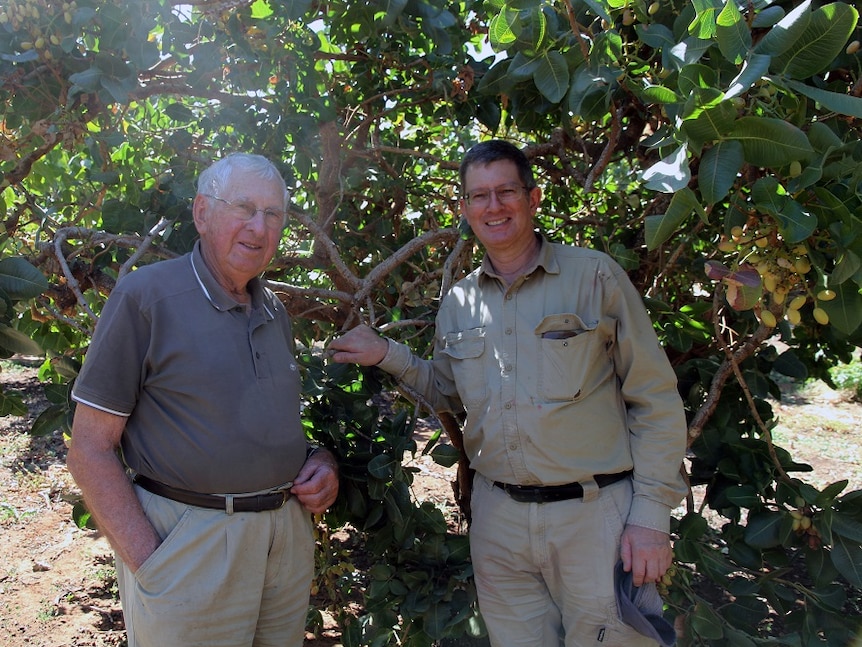 Martin and James Simpfendorfer in front of a pistachio tree