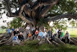 Kinchela Boys' Home survivors gather at the base of the the Morton Bay fig tree on the grounds of home.