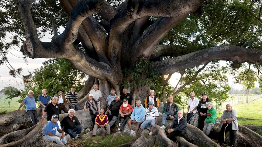 Kinchela Boys' Home survivors gather at the base of the the Morton Bay fig tree on the grounds of home.