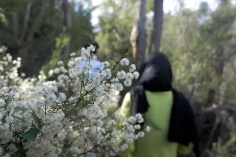 A Muslim girl walks past flowers