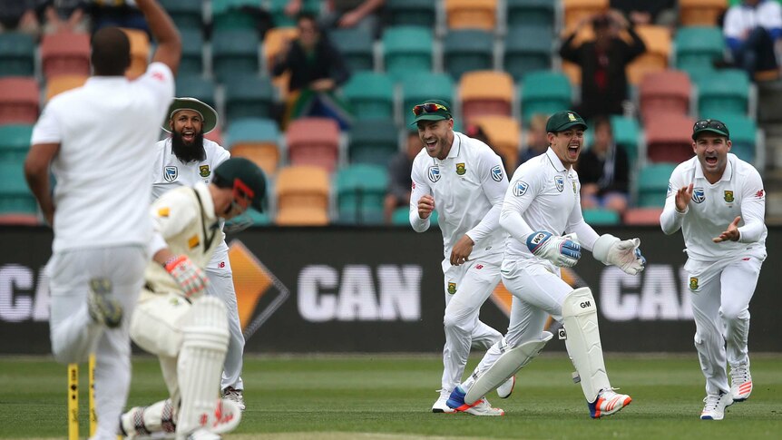 South African players celebrate wicket of Australia's David Warner (2L) on day one of second Test.