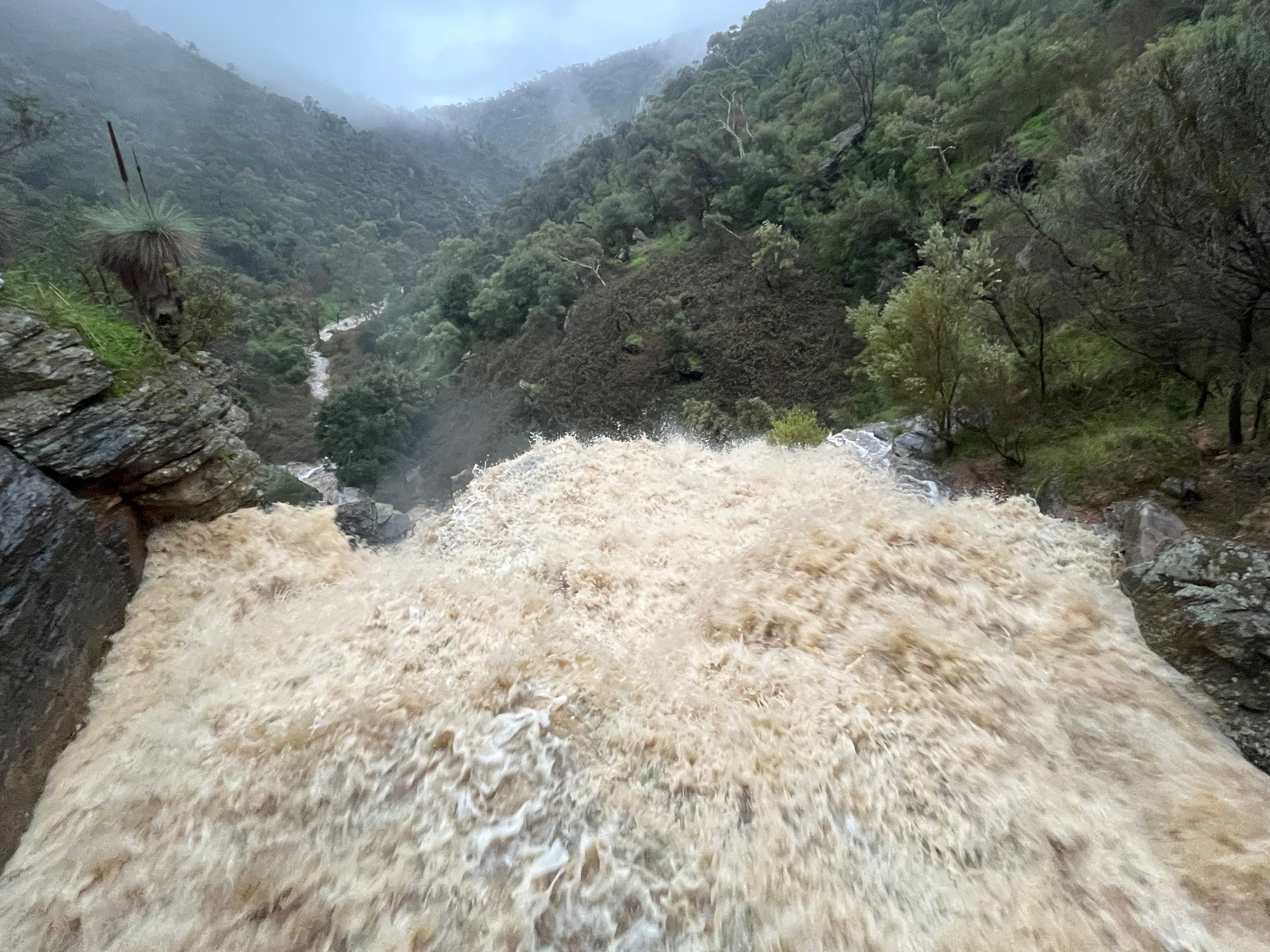Adelaide waterfalls roar to life as reservoirs receive decade-high deluge
