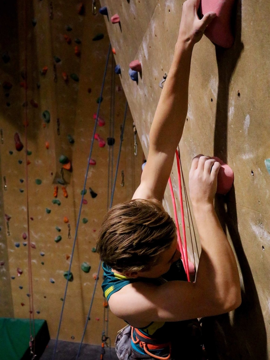 Rock climber Ned Middlehurst scales a training wall, clutching onto a rock painted pink.