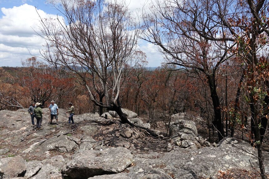 An area of burnt out land