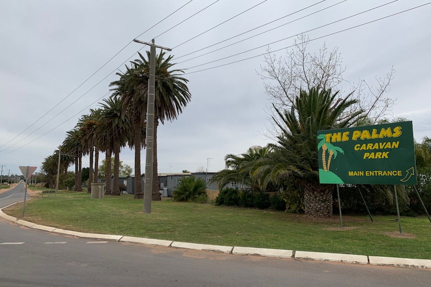 The entrance sign to the palms caravan park stands next to a line of palm trees