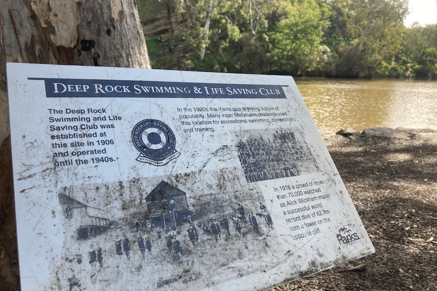 A sign by the side of the Yarra River with some information on it about the Deep Rock Swimming and Life Saving Club.
