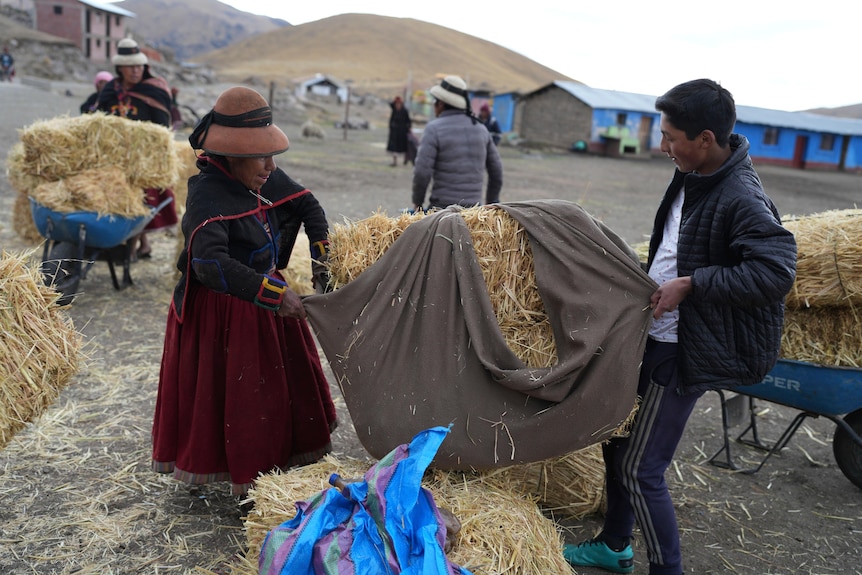 Two people lift a bale of hay off the ground wrapped in a grey tarp. 