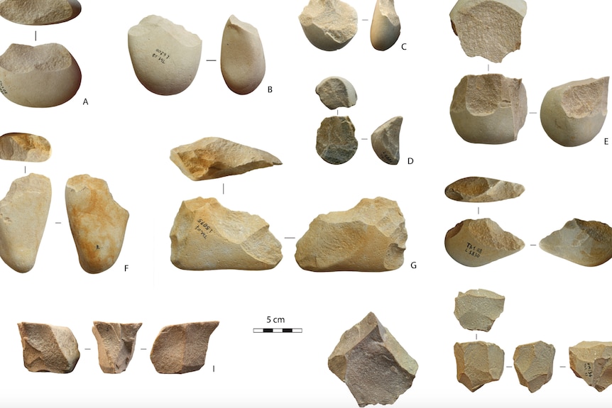 An image of a collection of the cutting tools with size markings that was published in the scientific report. 