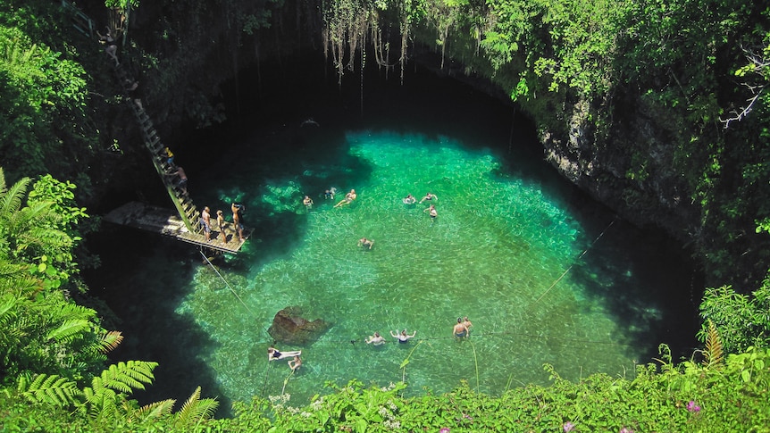 People swim in a large water hole. A ladder extends down into the pool of water, and vegetation is lush around it.