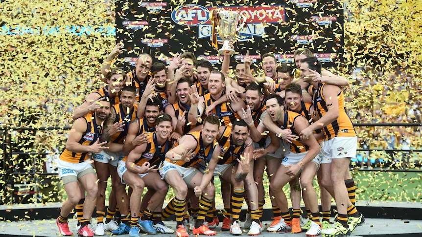 Hawthorn players celebrate their AFL Grand Final win over West Coast at the MCG on October 3, 2015.
