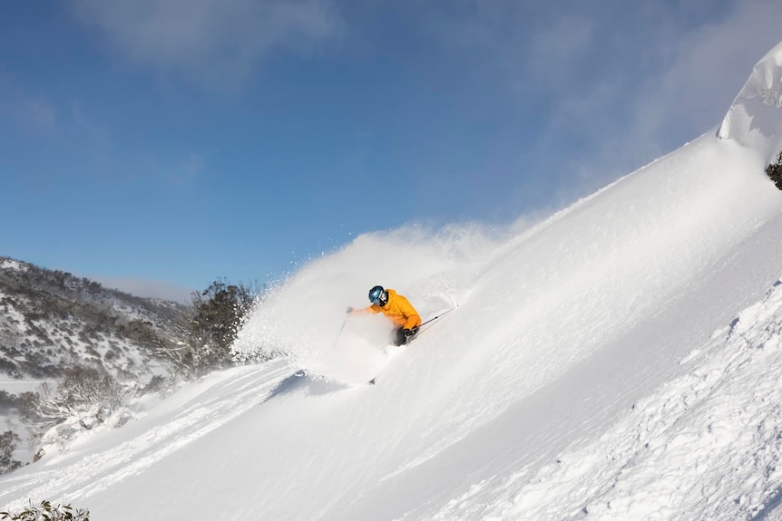 A skiier in a yellow jacket skis down a steep slope