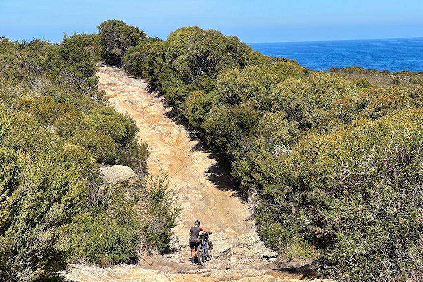 A woman walks with her bicycle up a hill, in the background is the ocean.