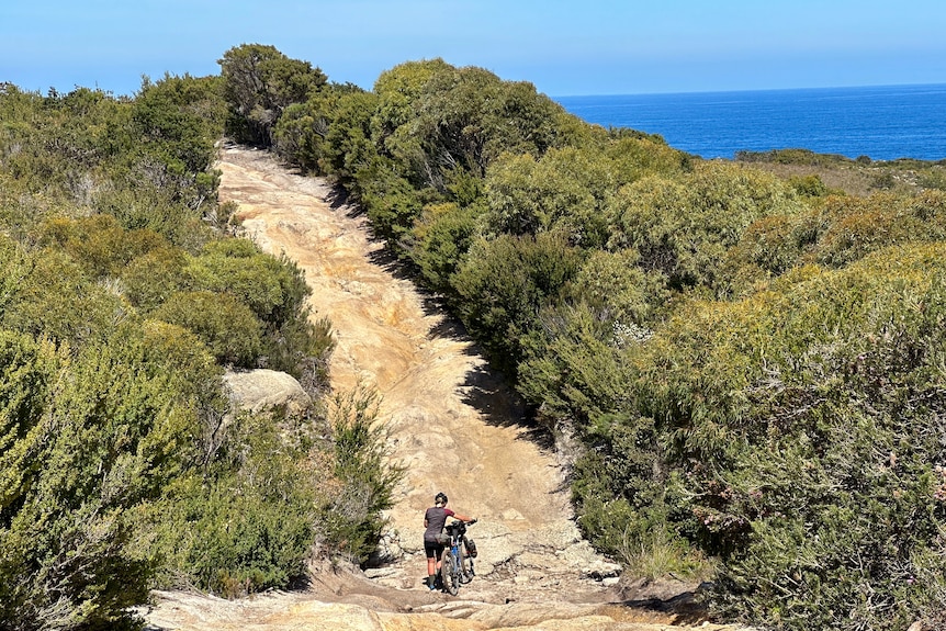 Une femme marche avec son vélo sur une colline, à l'arrière-plan se trouve l'océan.