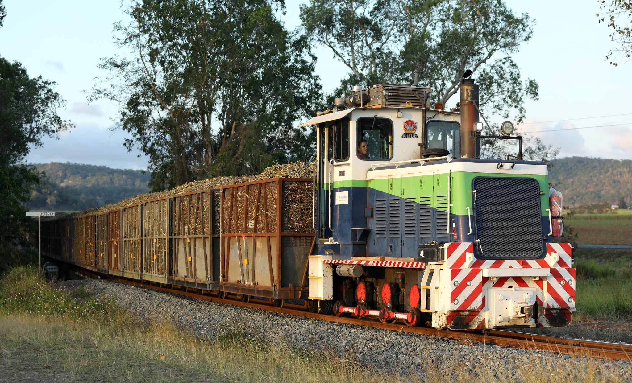 A cane locomotive pulling loaded bins of sugarcane.