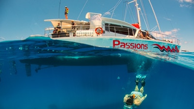 Passions of Paradise has been operating since for nearly three decades, taking more than 400,000 people to reef.