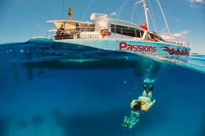 Passions of Paradise has been operating since for nearly three decades, taking more than 400,000 people to reef.