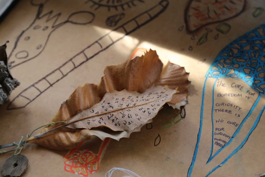 A detail of a drawing and leaves on brown pape.