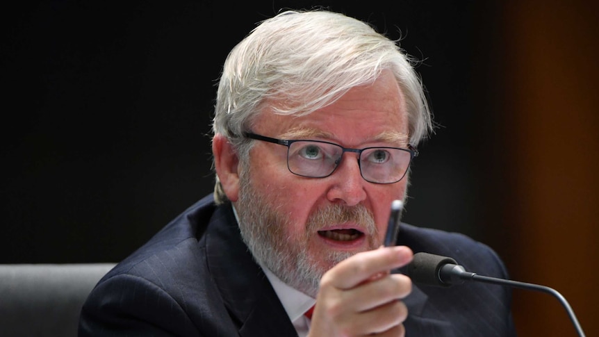 Days before Scott Morrison announced earlier Pfizer vaccine supplies, Kevin Rudd met with the Pfizer chairman
