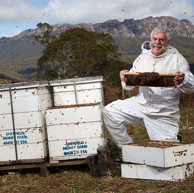 A man dressed in protective gear working bee hives
