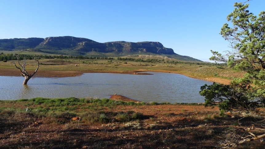 Rawnsley Bluff in the Flinders Ranges