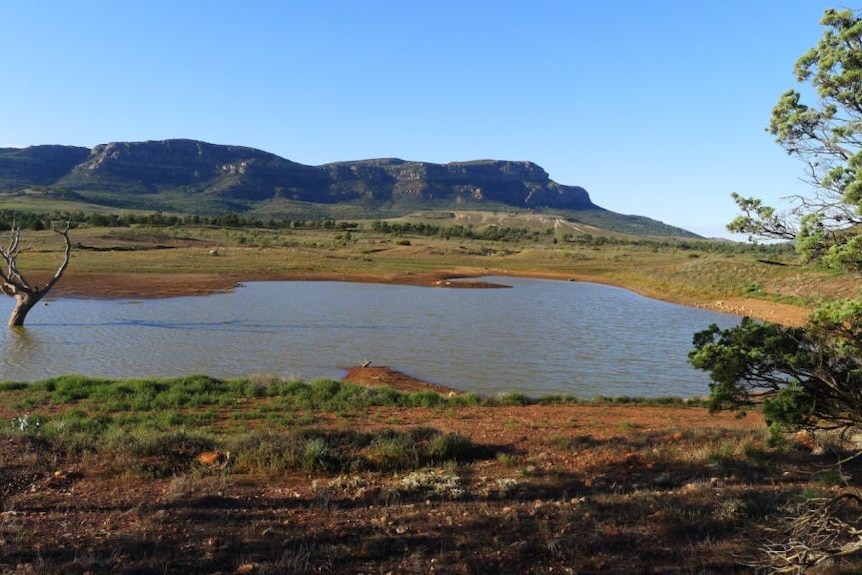 Rawnsley Bluff in the Flinders Ranges