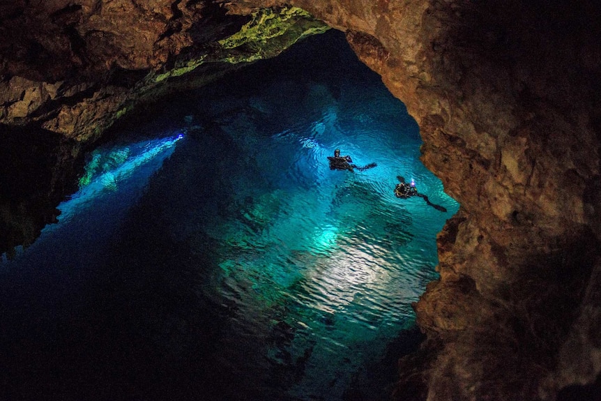 Two divers in full wetsuits swim in a large cave, shining torches ahead of them, illuminating the water in a shade of blues.