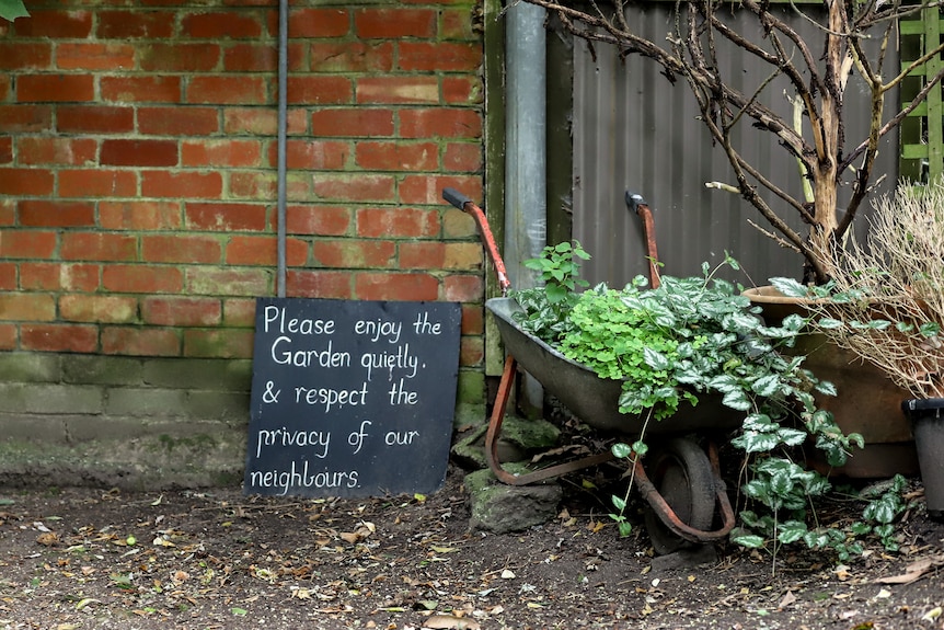 A black and white hand written blackboard sign next to a wheelbarrow full of green plants in front of a brick wall. 