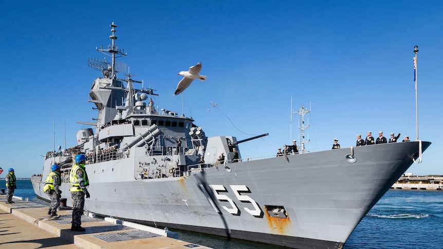 A docked frigate with a seagull flying past