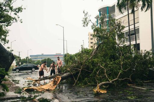 Three men look at fallen trees on McMinn Street, Darwin after a storm on January 28, 2018.