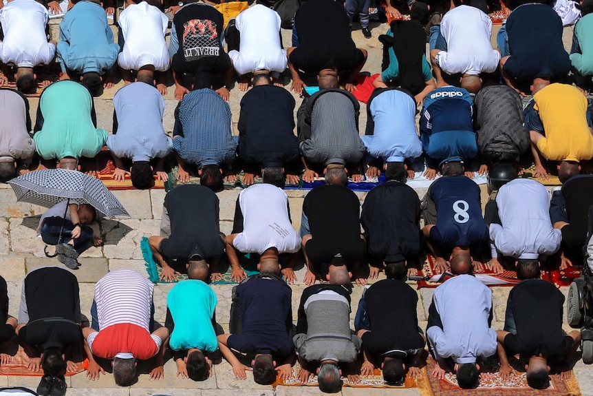 Dozens of men prostrate as part of Islamic prayer