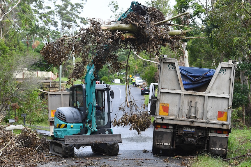 a digger loads large tree branches into the back of a truck that fell during severe storms