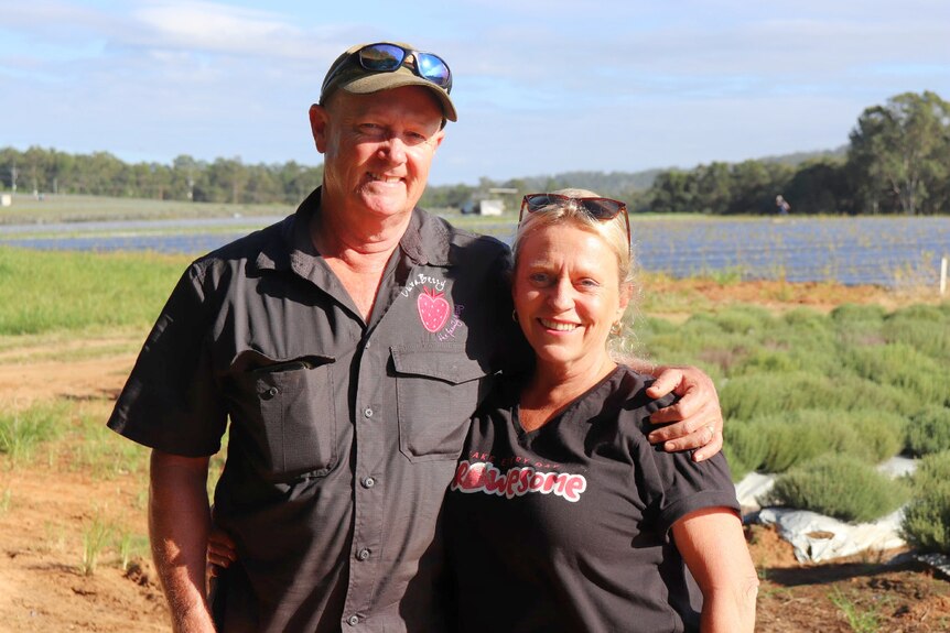 Man and woman standing in a paddock, smiling