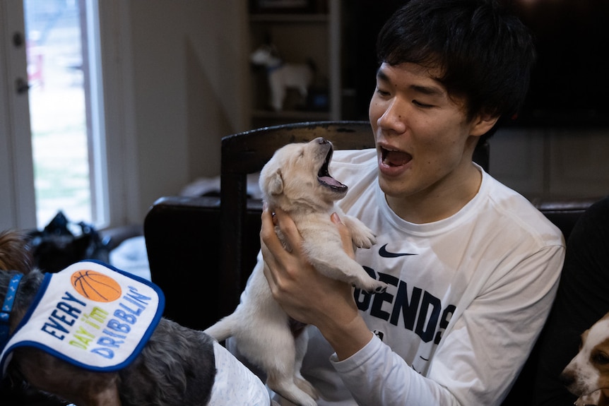 Basketballer Yudai Baba has an excited look on his face as he looks at a yawning puppy.