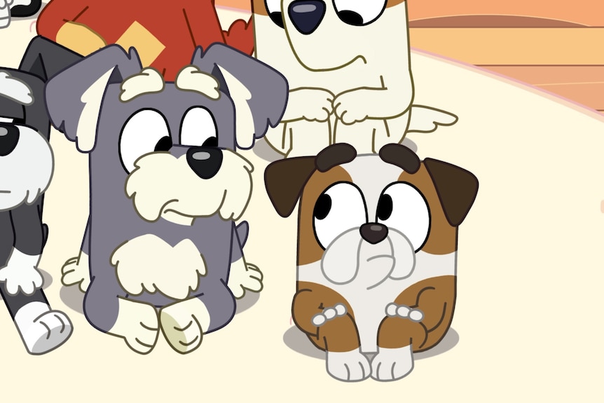 A still from Bluey that shows Winton, an English bulldog, looking at one of the Terriers, a Shnauzer