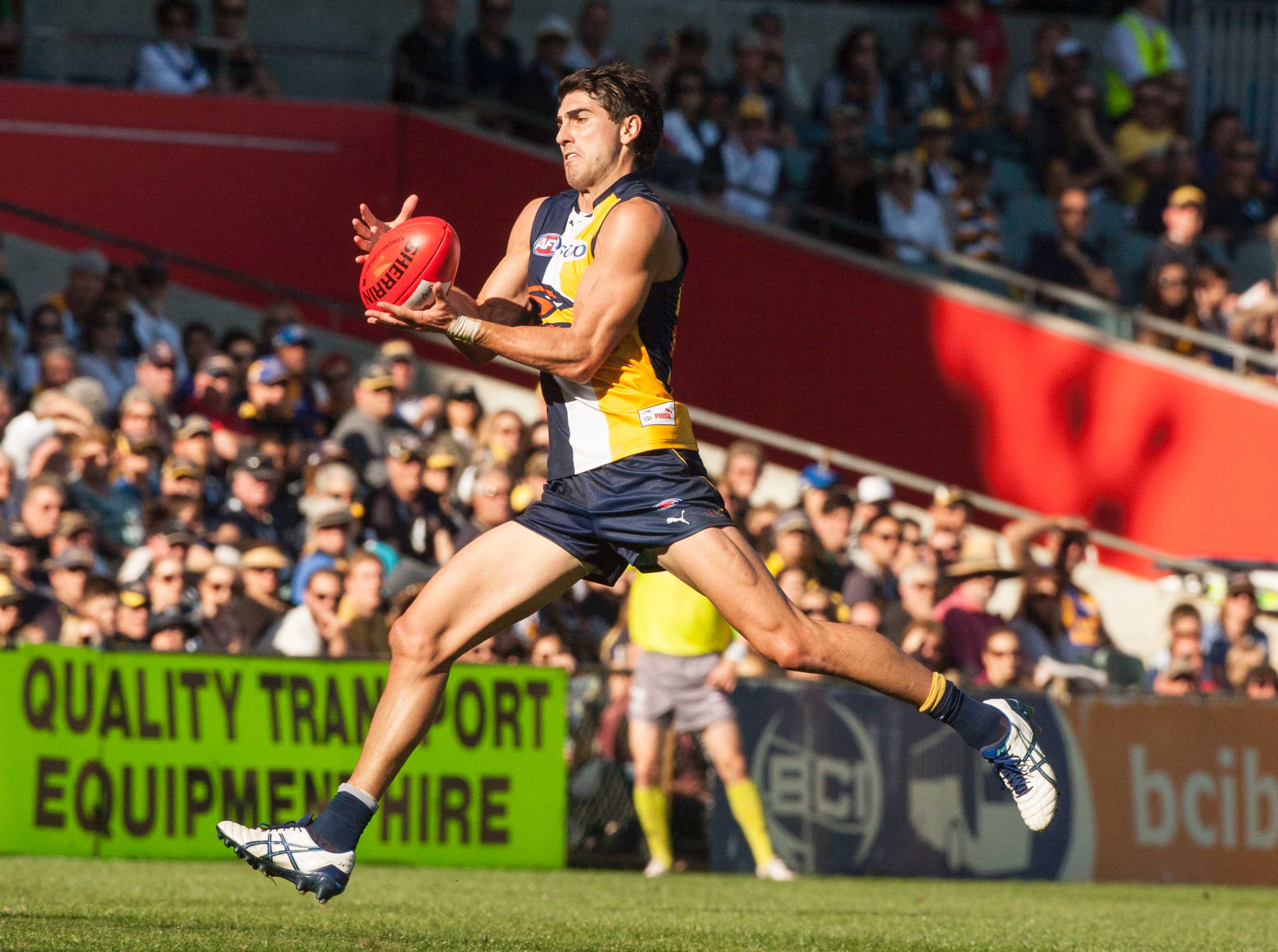 Matt Rosa signs new two-year AFL contract with West Coast Eagles - ABC News