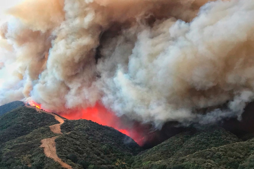 Flames advance towards a fire break in California. There is a lot of smoke and the fire is burning red inside a green valley.