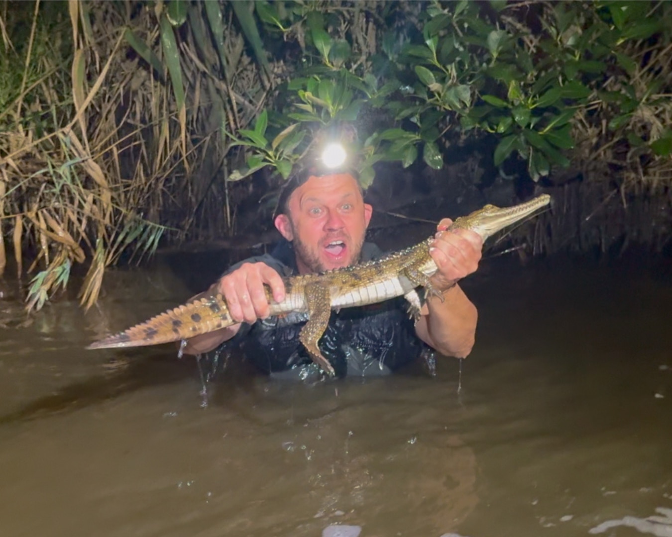 Elusive crocodile captured by reptile wranglers in Newcastle creek