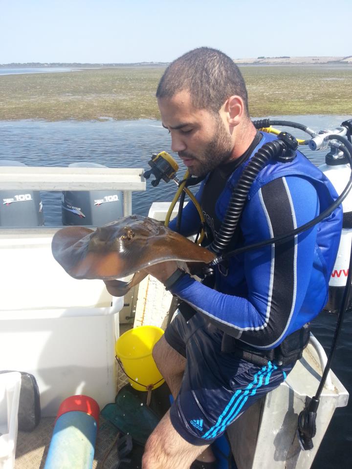 Shark scientist Dr Leonardo Guida holds a stingray
