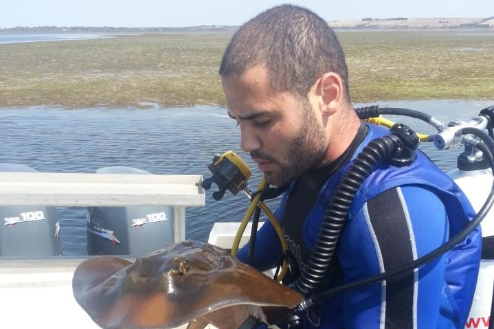Shark scientist Dr Leonardo Guida holds a stingray
