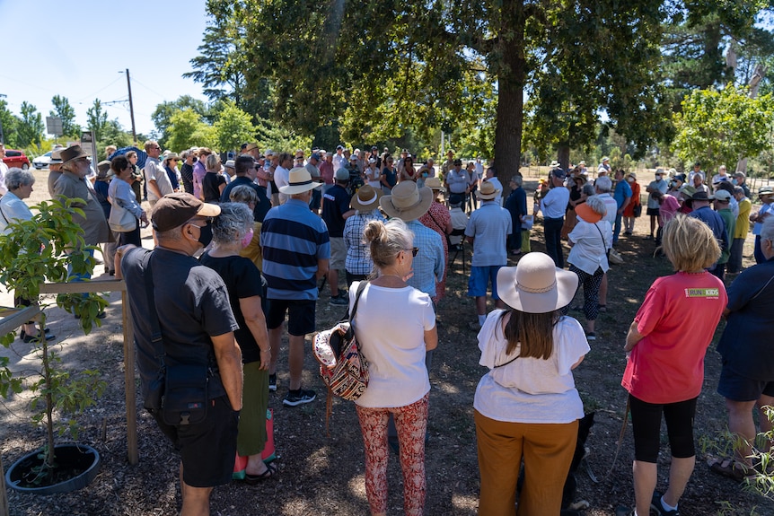 a crowd of people stand in a circle under a tree