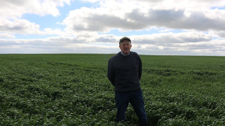 Pater Barrie standing in an early, green wheat paddock in the Southern Flinders Rangers