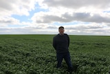 Pater Barrie standing in an early, green wheat paddock in the Southern Flinders Rangers