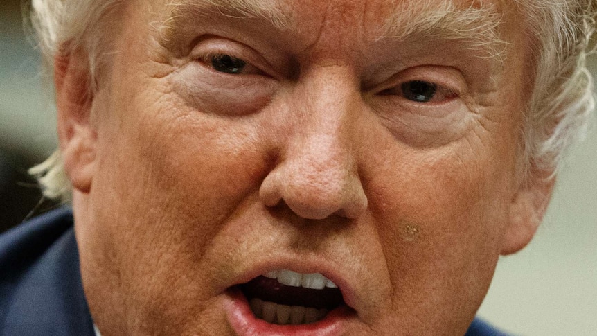 Donald trump staring straight at the lens