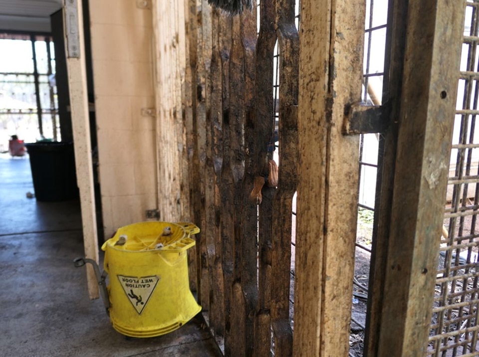 Grelhas do lado de fora cobertas de sujeira e saquinhos de chá usados.