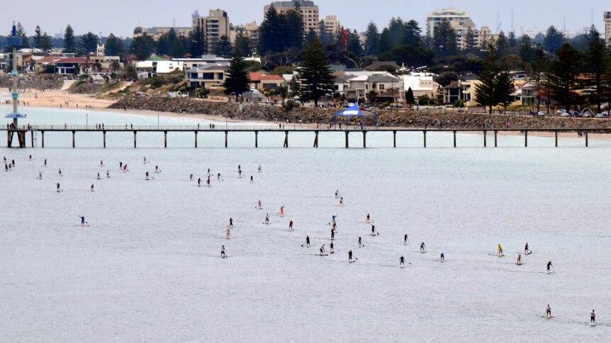Stand up paddle boarders take part in an event at Brighton Beach in Adelaide.
